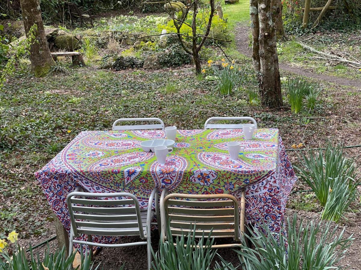 Retro Private Lodge With Hot Tub Nr Dartmoor Newton Abbot Bagian luar foto