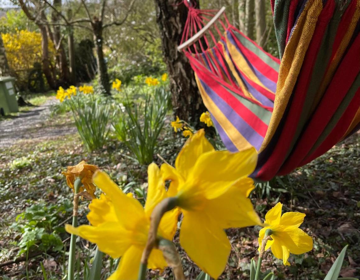Retro Private Lodge With Hot Tub Nr Dartmoor Newton Abbot Bagian luar foto